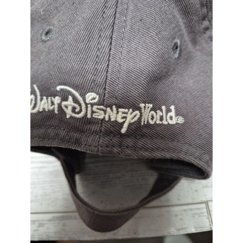 Disney walt world
